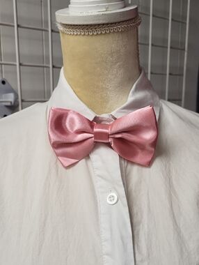 Nwt, Set Of 5  Bow Tie's